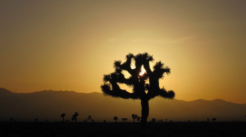 (Photo: Chris Smith)