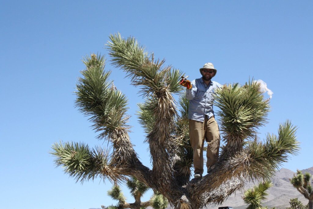 Can we go higher yet? (Photo and stunt-man: Chris Smith)