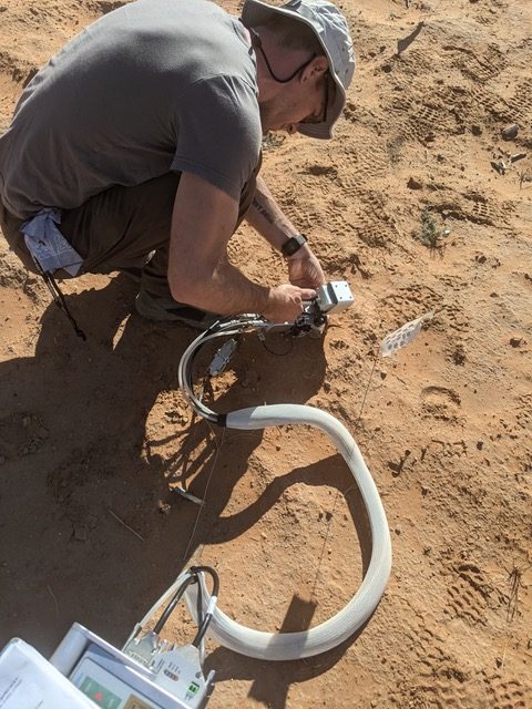 A man clamps an instrument onto one leaf of a tiny seedling in bright desert sunlight